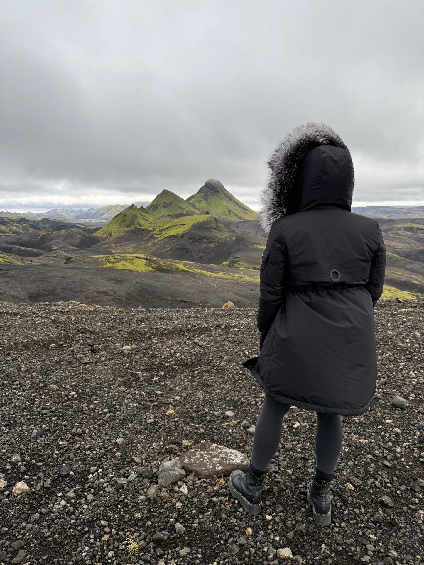 Akureyri Parka - Silfur Refur - Ekta feldur Central Iceland
